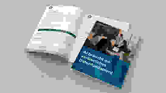 260903 Whitepaper AI + Data Website Header (1) 260903 Whitepaper AI + Data Website Header (1)