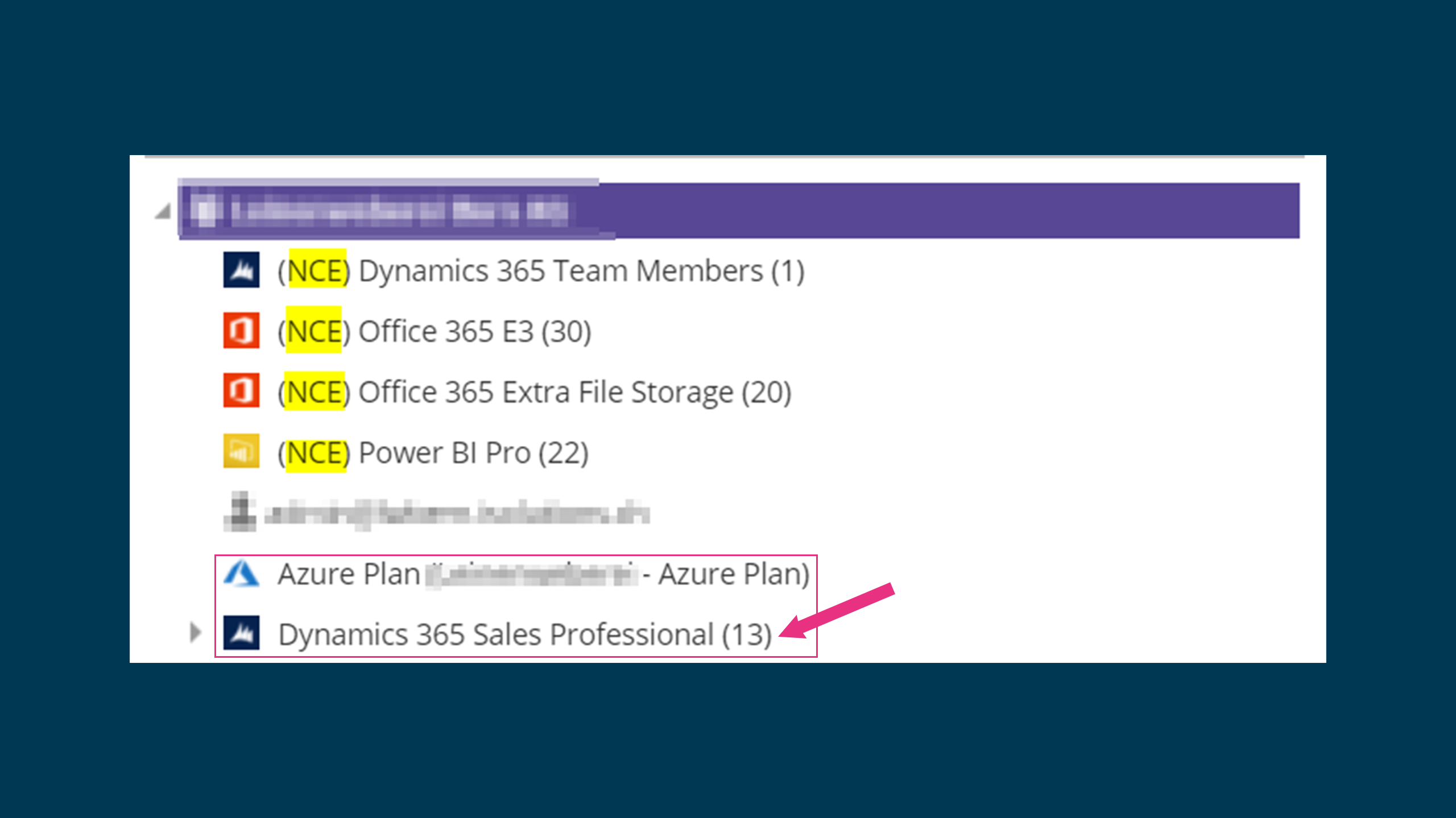 isolutions Marketplace: Beispiel einer Maske wo NCE und CSP Lizenzen zeigt