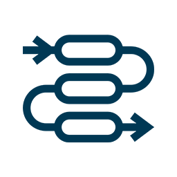 Icon Security Strategy & Organisation