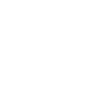 Icon Digital Business