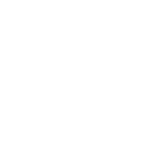 Icon Donate Heart