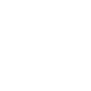 Icon Target
