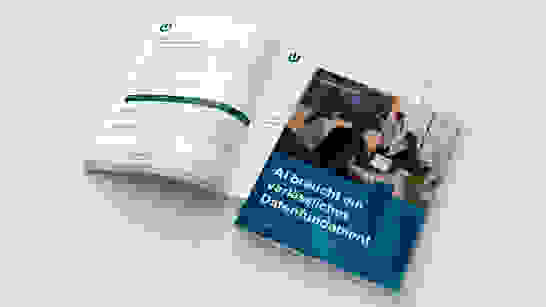 260903 Whitepaper AI + Data Website Header 260903 Whitepaper AI + Data Website Header