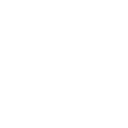 Icon Cloud Service