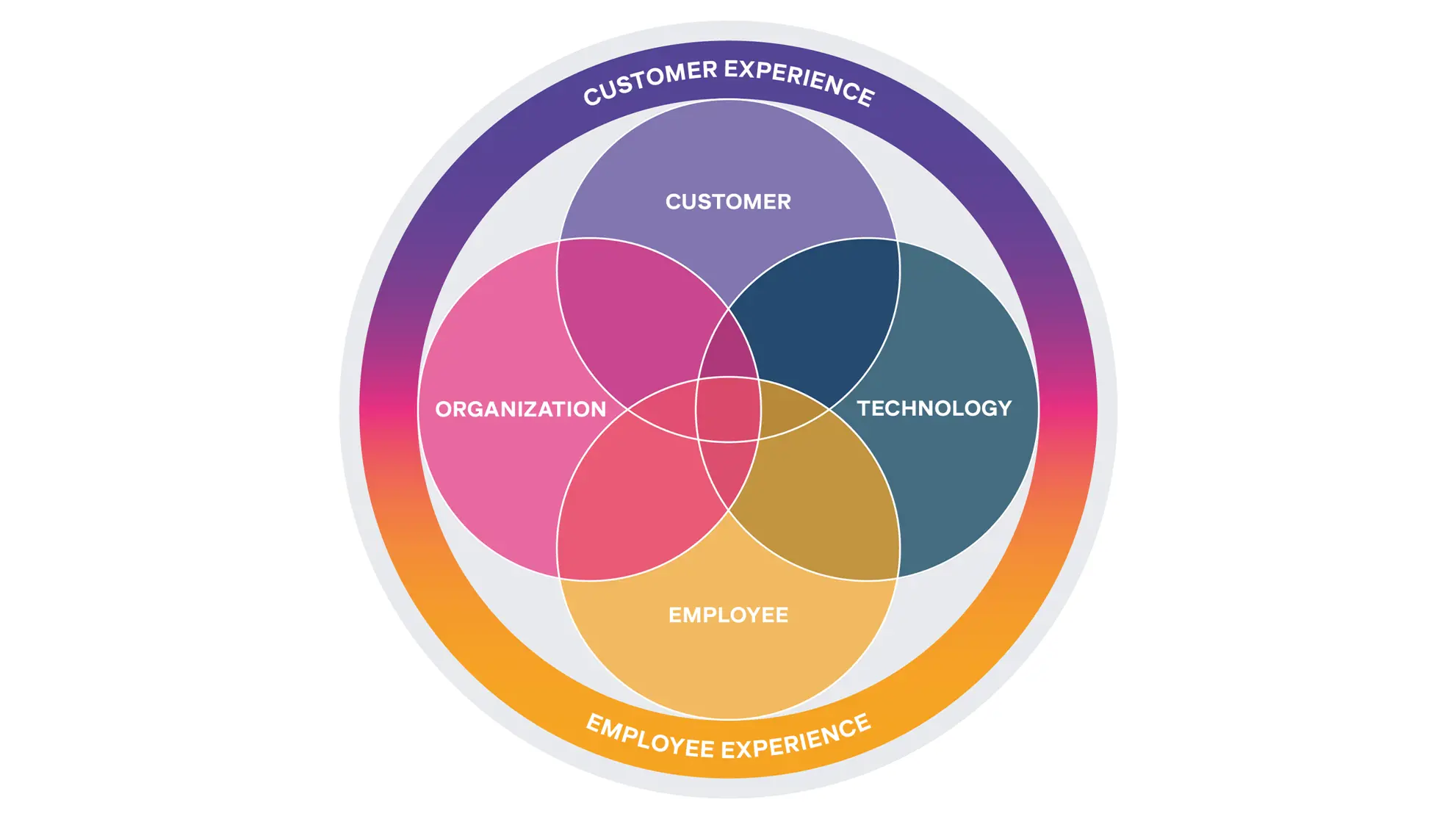 Grafik über 4 Bereiche der Beratung: Kunde, Mitarbeitende, Organisation und Technologie